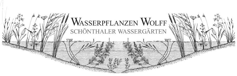 Wasserpflanzen Wolff